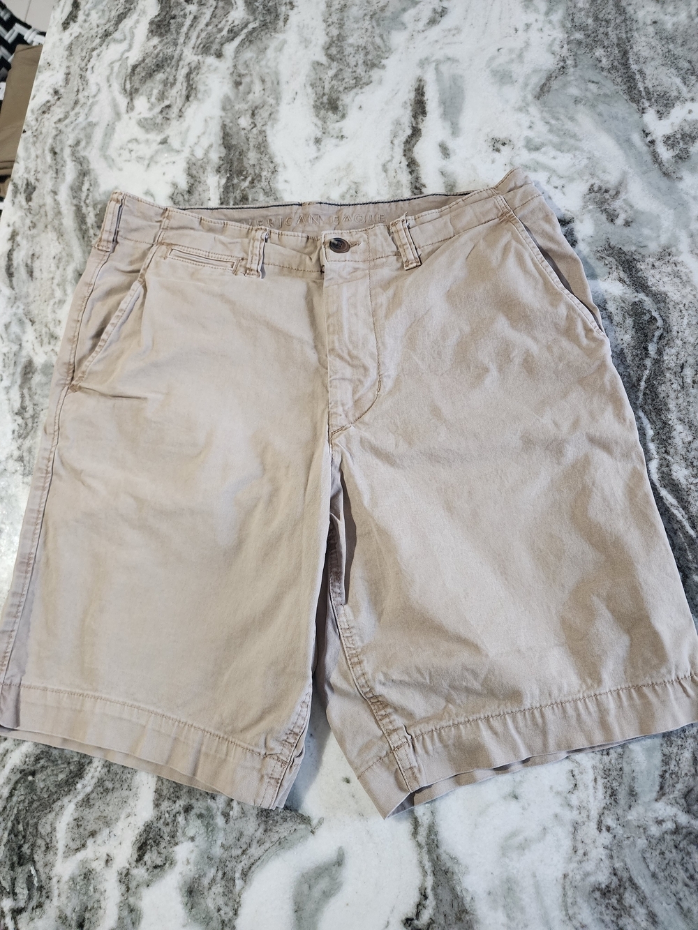 American Eagle Outfitters Men's Beige Flat Front Shorts